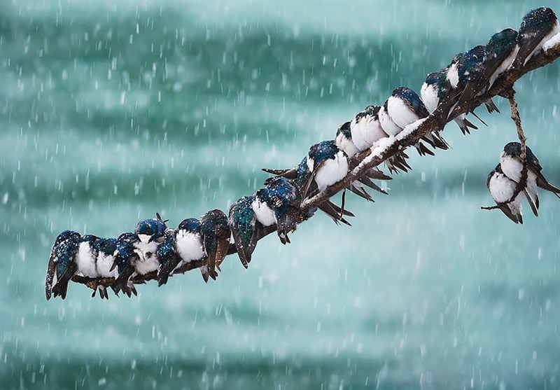 هواشناسی ایران1404/9/22؛بارش برف و باران در 16 استان